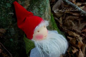 Read more about the article Orin the Gnome